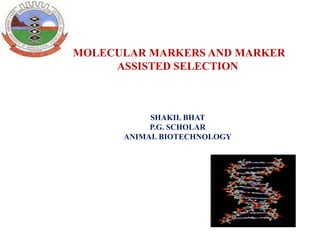 MOLECULAR MARKERS AND MARKER
ASSISTED SELECTION

SHAKIL BHAT
P.G. SCHOLAR
ANIMAL BIOTECHNOLOGY

 