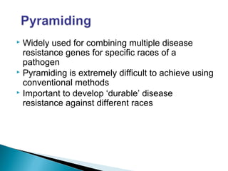  Widely used for combining multiple disease
resistance genes for specific races of a
pathogen
 Pyramiding is extremely difficult to achieve using
conventional methods
 Important to develop ‘durable’ disease
resistance against different races
 