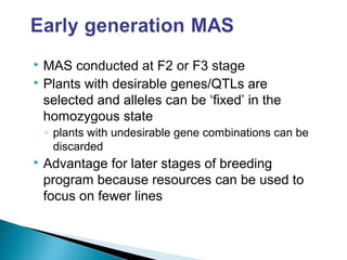  MAS conducted at F2 or F3 stage
 Plants with desirable genes/QTLs are
selected and alleles can be ‘fixed’ in the
homozygous state
◦ plants with undesirable gene combinations can be
discarded
 Advantage for later stages of breeding
program because resources can be used to
focus on fewer lines
 