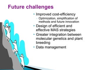  Improved cost-efficiency
◦ Optimization, simplification of
methods and future innovation
 Design of efficient and
effective MAS strategies
 Greater integration between
molecular genetics and plant
breeding
 Data management
 