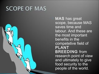  MAS has great
scope, because MAS
saves time and
labour. And these are
the most important
benefits in the
competetive field of
PLANT
BREEDING from
research point of view
and ultimately to give
food security to the
people of the world.
 