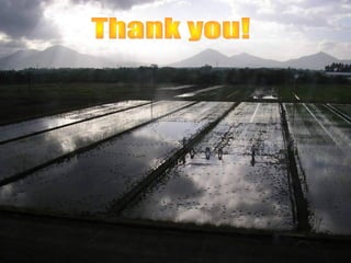 Marker assistant selection