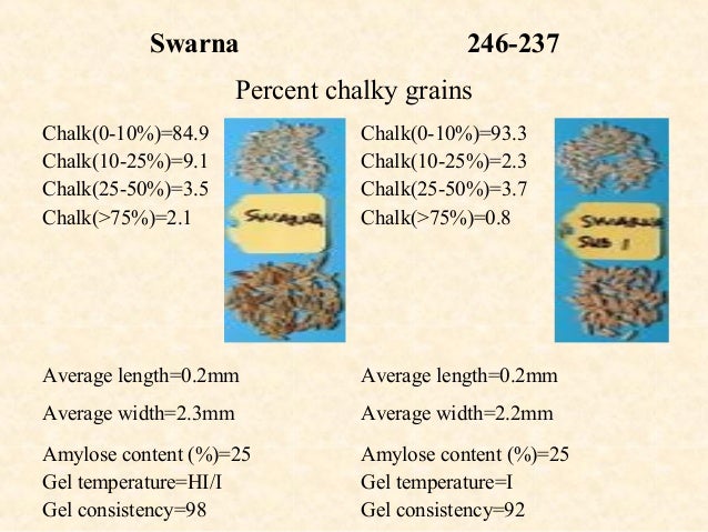 effect of cooking on amylose content of rice essay Beware of millet by sarah usually reduced by cooking such as cruciferous vegetables like broccoli however, cooking actually increases the goitrogenic effect of. effect of cooking on amylose content of rice essay Beware of millet by sarah usually reduced by cooking such as cruciferous vegetables like broccoli however, cooking actually increases the goitrogenic effect of.