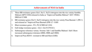 Achievements of MAS in India
1. Three BB resistance genes (Xa5, Xa13, Xa21) introgress into the rice variety Sambha
Mahsuri (BPT-5204) released in India as “Improved Sambha Mahsuri” (IET 19046)-
DRR & CCMB
2. BB resistance genes (Xa13, Xa21) introgress into the rice variety Pusa Basmati 1 (PB 1)
and released as “Improved Pusa Basmati (IPB 1)”- IARI
3. Blast resistance genes - Pi1, Pi2 (CRRI & UAS)
4. Gall midge resistance genes - Gm1, Gm10 (TNAU)
5. Submergence tolerance variety: Swarna- Sub 1 and Sambha Mahsuri- Sub1 Show
increased submergence tolerance (IRRI, DRR and CRRI)
6. Improved Pusa RH10 - resistant to BB and blast (IARI)
 