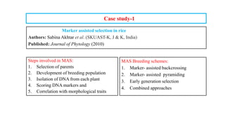 Case study-1
Marker assisted selection in rice
Authors: Sabina Akhtar et al. (SKUAST-K, J & K, India)
Published: Journal of Phytology (2010)
Steps involved in MAS:
1. Selection of parents
2. Development of breeding population
3. Isolation of DNA from each plant
4. Scoring DNA markers and
5. Correlation with morphological traits
MAS Breeding schemes:
1. Marker- assisted backcrossing
2. Marker- assisted pyramiding
3. Early generation selection
4. Combined approaches
 
