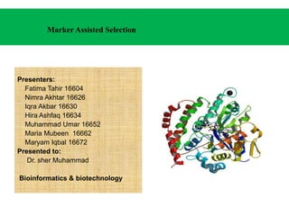 Marker Assisted Selection
Presenters:
Fatima Tahir 16604
Nimra Akhtar 16626
Iqra Akbar 16630
Hira Ashfaq 16634
Muhammad Umar 16652
Maria Mubeen 16662
Maryam Iqbal 16672
Presented to:
Dr. sher Muhammad
Bioinformatics & biotechnology
 