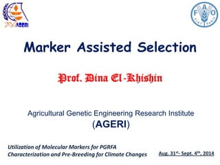 Marker Assisted Selection
Prof. Dina El-Khishin
Agricultural Genetic Engineering Research Institute
(AGERI)
Utilization of Molecular Markers for PGRFA
Characterization and Pre-Breeding for Climate Changes Aug. 31st- Sept. 4th, 2014
 