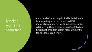 Marker-
Assisted
Selection
• A method of selecting desirable individuals
in a breeding scheme based on DNA
molecular marker patterns instead of, or in
addition to, their trait values. A tool that can
help plant breeders select more efficiently
for desirable crop traits.
 
