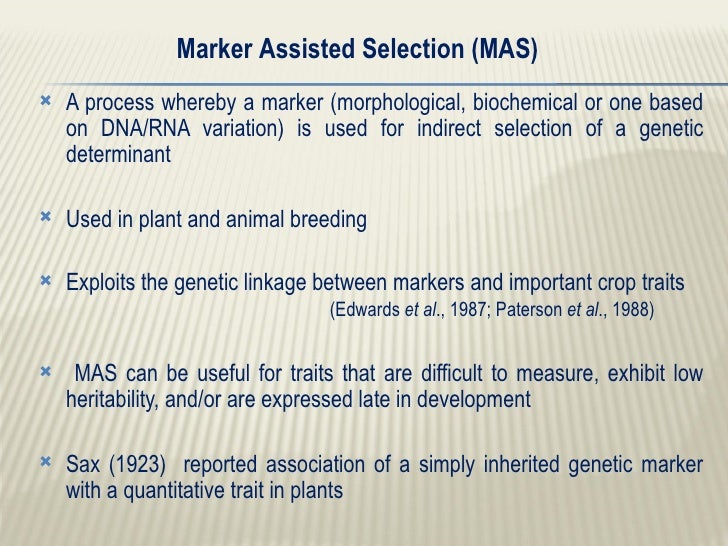 Marker assisted whole genome selection in crop improvement