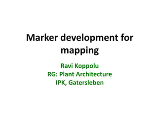 Marker development for
mapping
Ravi Koppolu
RG: Plant Architecture
IPK, Gatersleben
 