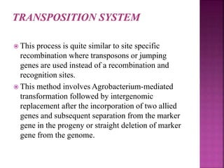  This process is quite similar to site specific
recombination where transposons or jumping
genes are used instead of a recombination and
recognition sites.
 This method involves Agrobacterium-mediated
transformation followed by intergenomic
replacement after the incorporation of two allied
genes and subsequent separation from the marker
gene in the progeny or straight deletion of marker
gene from the genome.
 