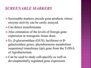  Screenable markers encode gene products whose
enzyme activity can be easily assayed.
 Can detect transformants
 Also estimation of the levels of foreign gene
expression in transgenic tissue done.
 Ex. β-glucuronidase (GUS), luciferase or β-
galactosidase genes, phytohormone metabolism
isopentenyl transferase (ipt) gene from the T-DNA
of Agrobacterium.
 Can be used to study cell-specific as well as
developmentally regulated gene expression.
 