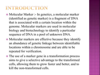  Molecular Marker :- In genetics, a molecular marker
(identified as genetic marker) is a fragment of DNA
that is associated with a certain location within the
genome. Molecular markers are used in molecular
biology and biotechnology to identify a particular
sequence of DNA in a pool of unknown DNA.
 Molecular markers are effective because they identify
an abundance of genetic linkage between identifiable
locations within a chromosome and are able to be
repeated for verification.
 The use of a marker gene in a transformation process
aims to give a selective advantage to the transformed
cells, allowing them to grow faster and better, and to
kill the non-transformed cells.
 