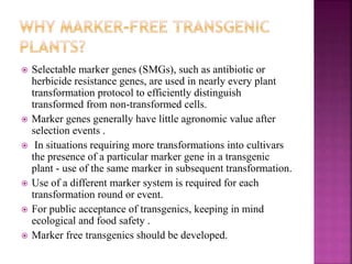  Selectable marker genes (SMGs), such as antibiotic or
herbicide resistance genes, are used in nearly every plant
transformation protocol to efficiently distinguish
transformed from non-transformed cells.
 Marker genes generally have little agronomic value after
selection events .
 In situations requiring more transformations into cultivars
the presence of a particular marker gene in a transgenic
plant - use of the same marker in subsequent transformation.
 Use of a different marker system is required for each
transformation round or event.
 For public acceptance of transgenics, keeping in mind
ecological and food safety .
 Marker free transgenics should be developed.
 