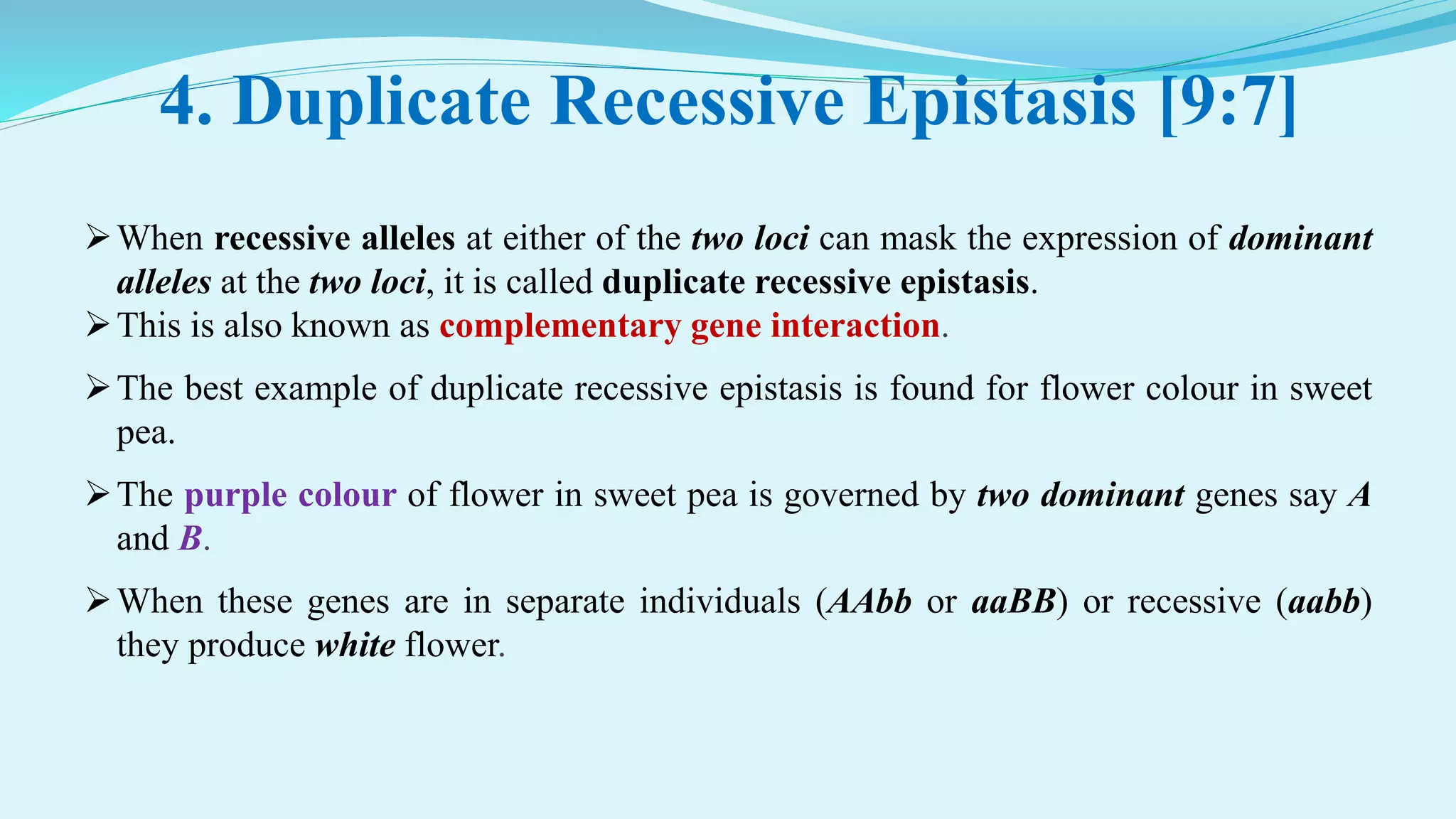 4. Duplicate Recessive Epistasis [9:7]
When recessive alleles at either of the two loci can mask the expression of dominant
alleles at the two loci, it is called duplicate recessive epistasis.
This is also known as complementary gene interaction.
The best example of duplicate recessive epistasis is found for flower colour in sweet
pea.
The purple colour of flower in sweet pea is governed by two dominant genes say A
and B.
When these genes are in separate individuals (AAbb or aaBB) or recessive (aabb)
they produce white flower.
 