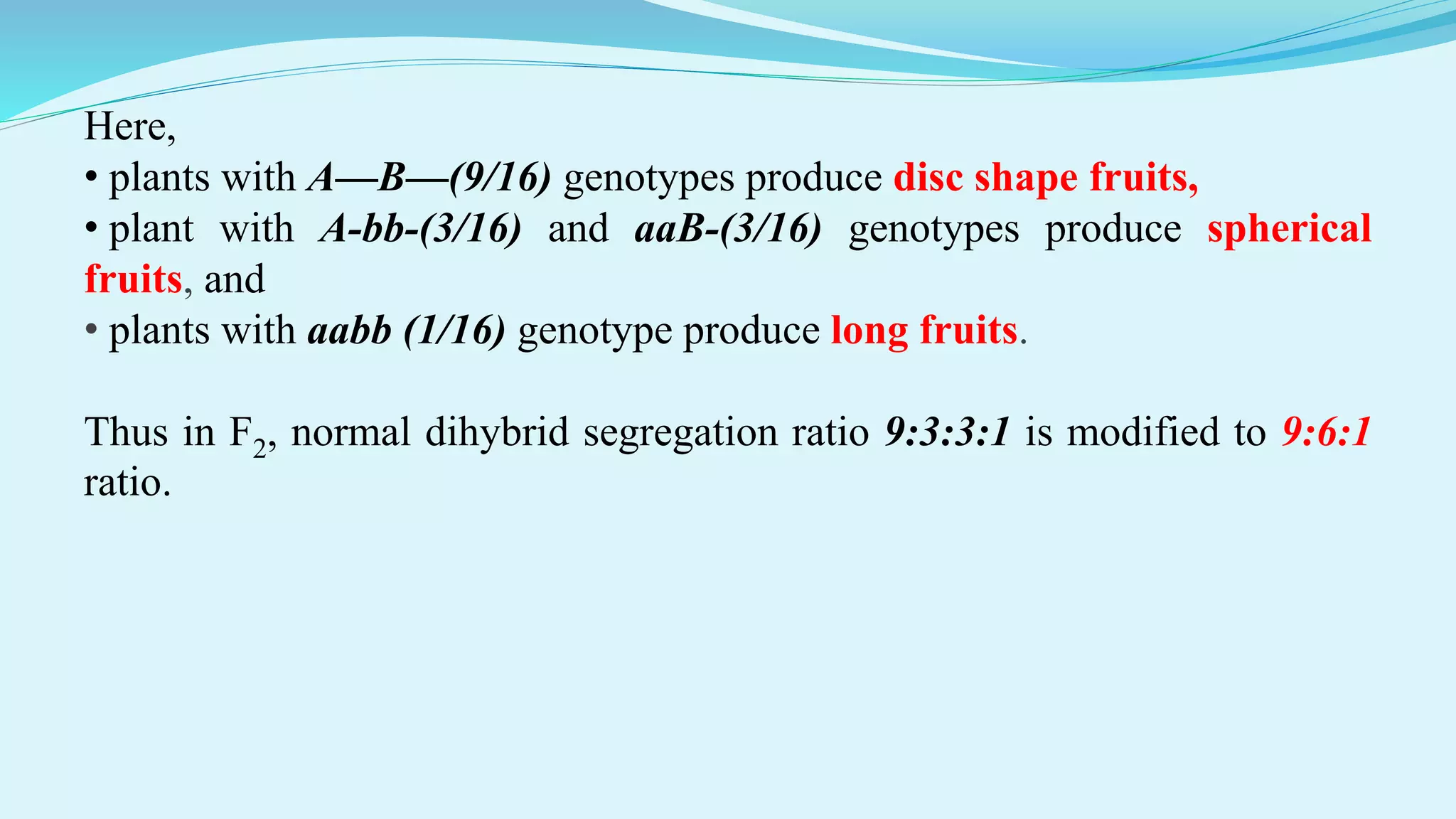 Here,
• plants with A—B—(9/16) genotypes produce disc shape fruits,
• plant with A-bb-(3/16) and aaB-(3/16) genotypes produce spherical
fruits, and
• plants with aabb (1/16) genotype produce long fruits.
Thus in F2, normal dihybrid segregation ratio 9:3:3:1 is modified to 9:6:1
ratio.
 