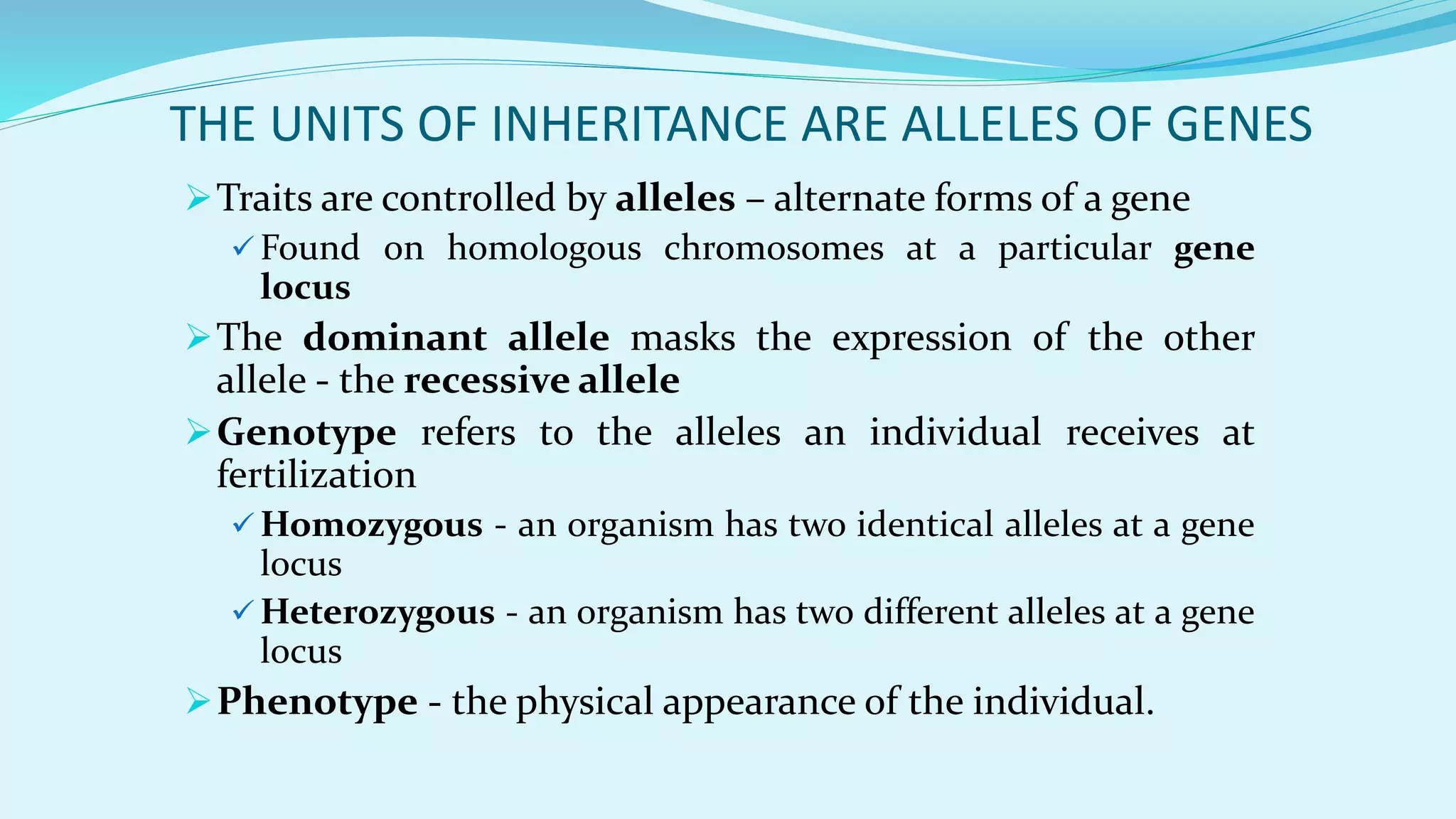 THE UNITS OF INHERITANCE ARE ALLELES OF GENES
Traits are controlled by alleles – alternate forms of a gene
 Found on homologous chromosomes at a particular gene
locus
The dominant allele masks the expression of the other
allele - the recessive allele
Genotype refers to the alleles an individual receives at
fertilization
 Homozygous - an organism has two identical alleles at a gene
locus
 Heterozygous - an organism has two different alleles at a gene
locus
Phenotype - the physical appearance of the individual.
 