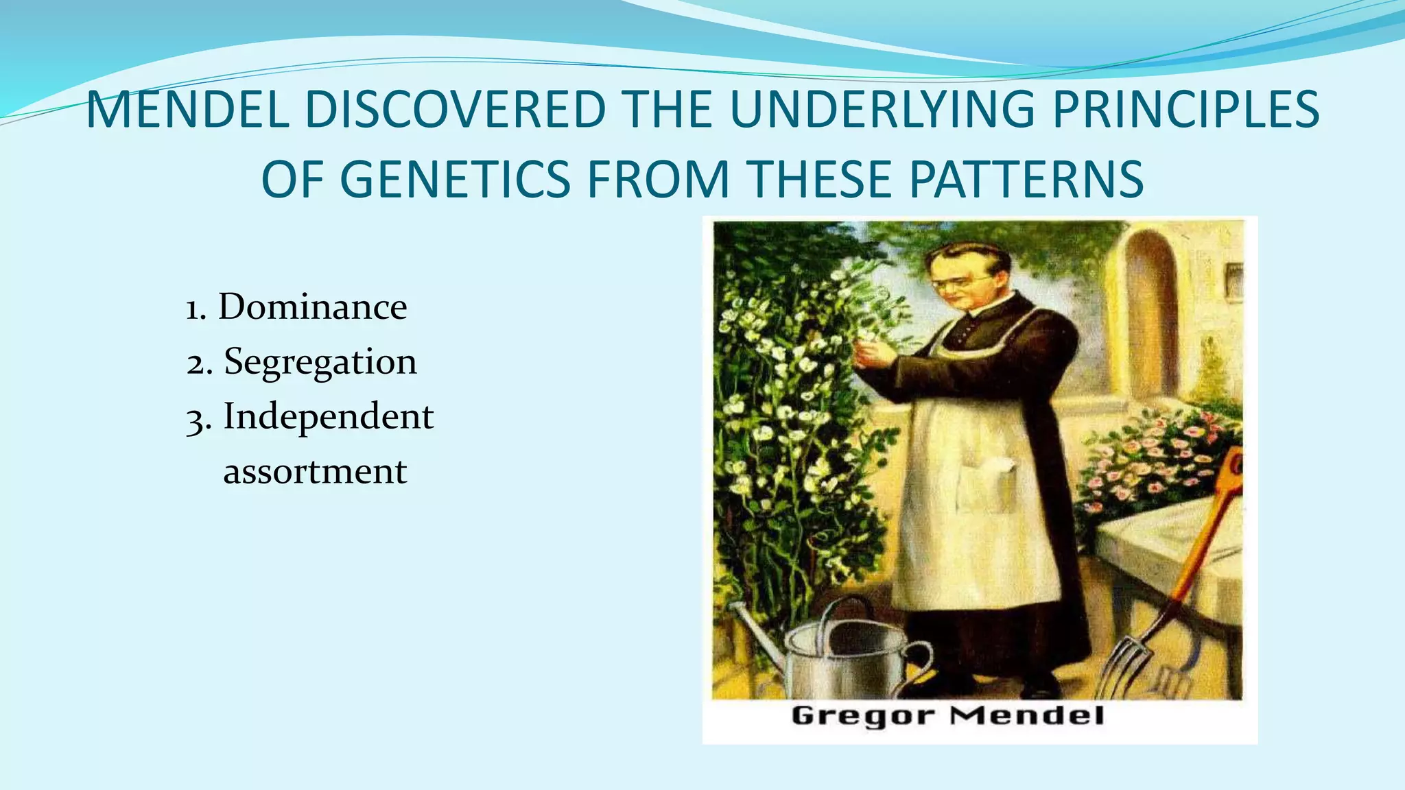 MENDEL DISCOVERED THE UNDERLYING PRINCIPLES
OF GENETICS FROM THESE PATTERNS
1. Dominance
2. Segregation
3. Independent
assortment
 