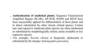  Authentication of medicinal plants: Sequence Characterized
Amplified Region (SCAR), AP–PCR, RAPD and RFLP have
been successfully applied for differentiation of these plants and
to detect substitution by other closely related species. Certain
rare and expensive medicinal plant species are often adulterated
or substituted by morphologically similar, easily available or less
expensive species.
 For example, Swertia chirata is frequently adulterated or
substituted by the cheaper Andrographis paniculata.
 