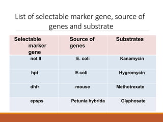 List of selectable marker gene, source of
genes and substrate
Selectable
marker
gene
Source of
genes
Substrates
not II E. coli Kanamycin
hpt E.coli Hygromycin
dhfr mouse Methotrexate
epsps Petunia hybrida Glyphosate
 