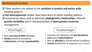 Variability Markers Molecular markers and its use in plant breeding | PDF