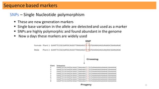 Molecular markers and its use in plant breeding | PDF