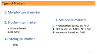 Molecular markers and its use in plant breeding | PDF