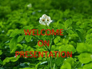 WELCOME
ON
PRESENTATION
 