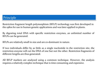 Principle
Restriction fragment length polymorphism (RFLP) technology was first developed in
the 1980s for use in human genetic applications and was later applied to plants.
By digesting total DNA with specific restriction enzymes, an unlimited number of
RFLPs can be generated.
RFLPs are relatively small in size and are co-dominant in nature.
If two individuals differ by as little as a single nucleotide in the restriction site, the
restriction enzyme will cut the DNA of one but not the other. Restriction fragments of
different lengths are thus generated.
All RFLP markers are analyzed using a common technique. However, the analysis
requires a relatively complex technique that is time consuming and expensive.
 