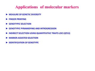 Applications of molecular markers
► MEASURE OFGENETIC DIVERSITY
► FINGER PRINTING
► GENOTYPIC SELECTION
► GENOTYPIC PYRAMIDYING AND INTROGRESSION
► INDIRECT SELECTION USING QUANTITATIVE TRAITS LOCI (QTLS)
► MARKER-ASSISTED SELECTION
► IDENTIFICATION OFGENOTYPE
 