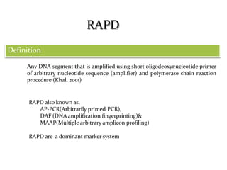 Any DNA segment that is amplified using short oligodeoxynucleotide primer
of arbitrary nucleotide sequence (amplifier) and polymerase chain reaction
procedure (Khal, 2001)
RAPD also known as,
AP-PCR(Arbitrarily primed PCR),
DAF (DNA amplification fingerprinting)&
MAAP(Multiple arbitrary amplicon profiling)
RAPD are a dominant marker system
Definition
RAPD
 