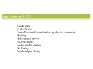 APPLICATION of RAPD
Application of RAPD
 