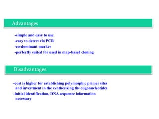 -simple and easy to use
-easy to detect via PCR
-co-dominant marker
-perfectly suited for used in map-based cloning
-cost is higher for establishing polymorphic primer sites
and investment in the synthesizing the oligonucleotides
-initial identification, DNA sequence information
necessary
Advantages
Disadvantages
 