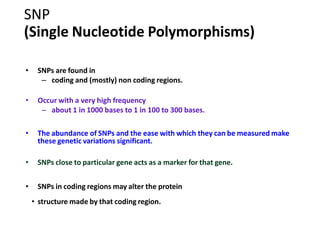 SNP
(Single Nucleotide Polymorphisms)
• SNPs are found in
– coding and (mostly) non coding regions.
• Occur with a very high frequency
– about 1 in 1000 bases to 1 in 100 to 300 bases.
• The abundance of SNPs and the ease with which they can be measured make
these genetic variations significant.
• SNPs close to particular gene acts as a marker for that gene.
• SNPs in coding regions may alter the protein
• structure made by that coding region.
 