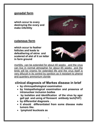 6
gonadal form
which occur to ovary
destroying the ovary and
make infertility
cutanous form
which occur to feather
follicles and leads to
defeathering of skine and
scatered of alot of it on letter
in farm ground
mortility can be extended for about 40 weeks and the virus
can live in normal atmospher for about 65 weeks and the
birds will be viramic for extended life and the virus itself is
very difucult in its control by sanition as it resistant to phenol
and quantery ammonium cloride
clinical diagnosis of Markes disease in brief
 by clinicopathological examination
 by histopathological examination and presence of
intranuclear inclusion bodies
 by isolation and identification of the virus by agar
gell ppt and using of floresent antibody tech(FAT)
 by differantial diagnosis .
 it should differantiated from some disease make
tumors like.
 lymphoid leuckosis as
 
