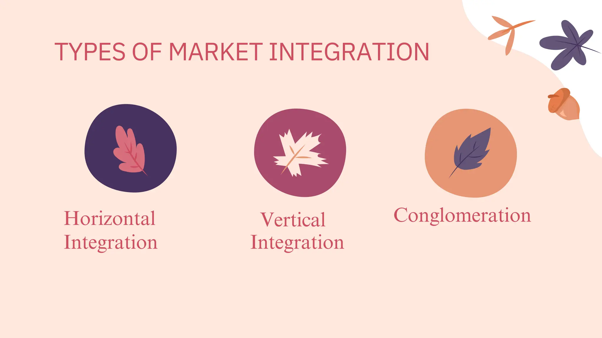 TYPES OF MARKET INTEGRATION
Horizontal
Integration
Vertical
Integration
Conglomeration
 