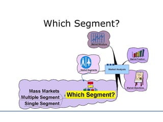 Which Segment? 