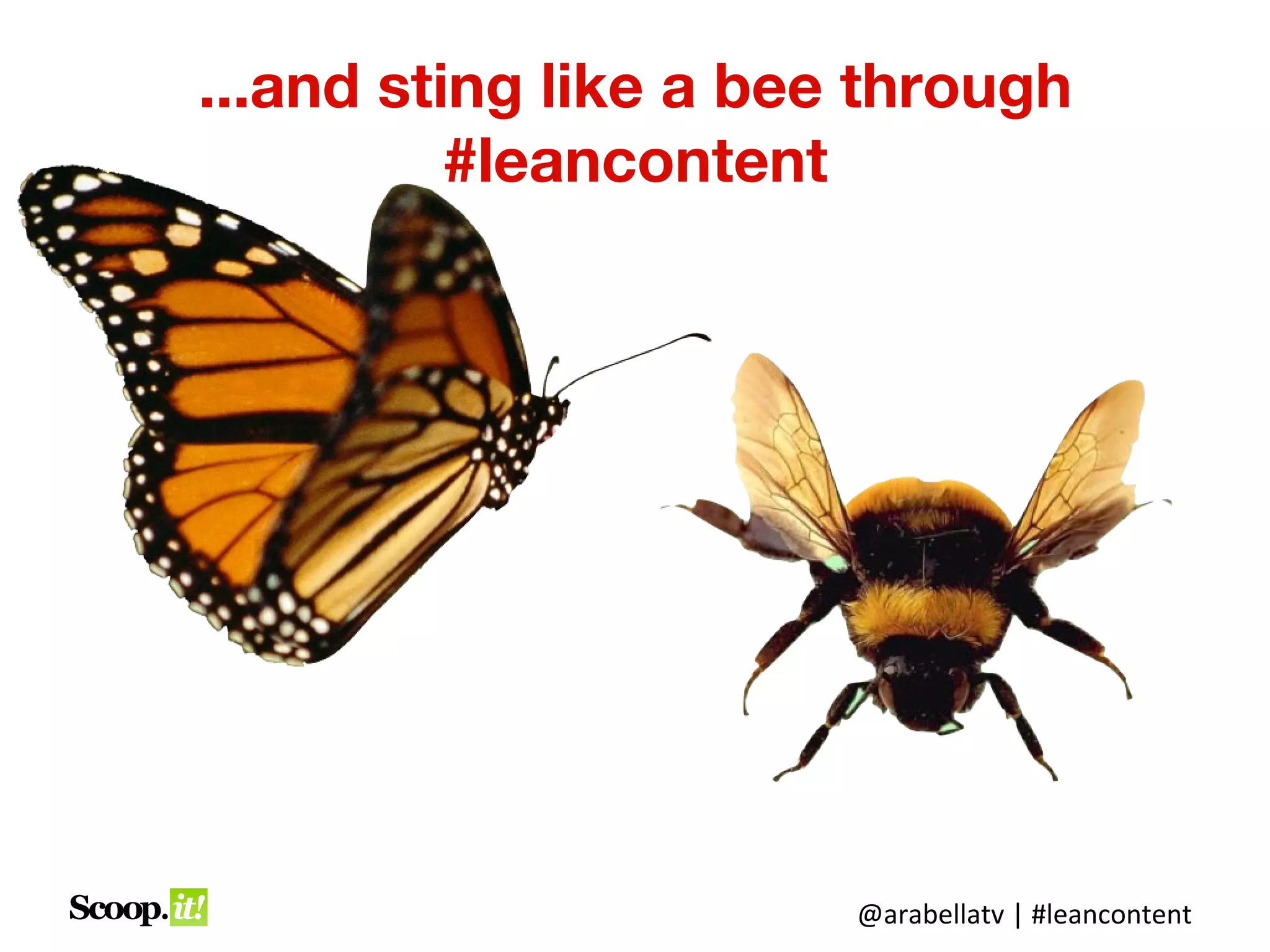 ...and sting like a bee through
          #leancontent




                       @arabellatv | #leancontent
 