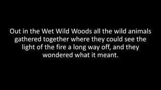 Out in the Wet Wild Woods all the wild animals
gathered together where they could see the
light of the fire a long way off...