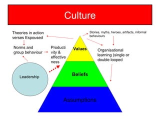 Culture Leadership Theories in action verses Espoused Norms and group behaviour Organisational learning (single or double looped Productivity & effectiveness Stories, myths, heroes, artifacts, informal behaviours Values Beliefs Assumptions 