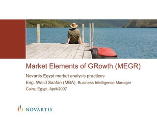 Market Elements of GRowth (MEGR)
Novartis Egypt market analysis practices
Eng. Walid Saafan (MBA), Business Intelligence Manager
Cairo, Egypt. April/2007
 