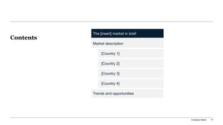_market_entry_analysis_multi_template.pptx