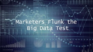 Marketers Flunk the
Big Data Test
 