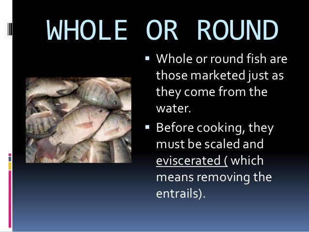 Market form of fish