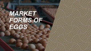 MARKET
FORMS OF
EGGS
 