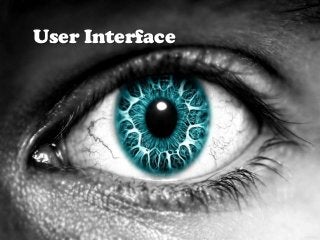 User Interface

 