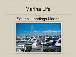 Marina Life 
Southall Landings Marina 
 