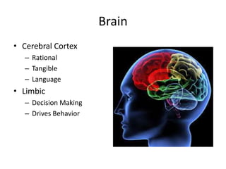 Brain
• Cerebral Cortex
– Rational
– Tangible
– Language
• Limbic
– Decision Making
– Drives Behavior
 