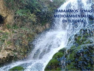 TRABAJAMOS TEMAS
MEDIOAMBIENTALES
EN TUTORÍA.