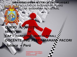 UNIVERSIDAD ANDINA NESTOR CACERES VELASQUEZ
            FACULTAD DE INGENIERIAS PURAS
               CAP. INGENIERIA INDUSTRIAL




CURSO        : MARKETING
SEMESTRE:     VI
CAP I: MARKETING, (SUBCULTURAL)
DOCENTE: ING. PERCY MAMANI PACORI
    Juliaca – Perú
                 INGENIERIA INDUSTRIAL-
                 UANCV       ING. PERCY
                 MAMANI PACORI                       1
 